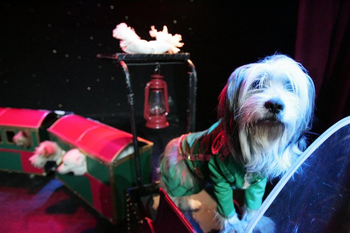 a dog dressed as a santa clause sitting in a toy car