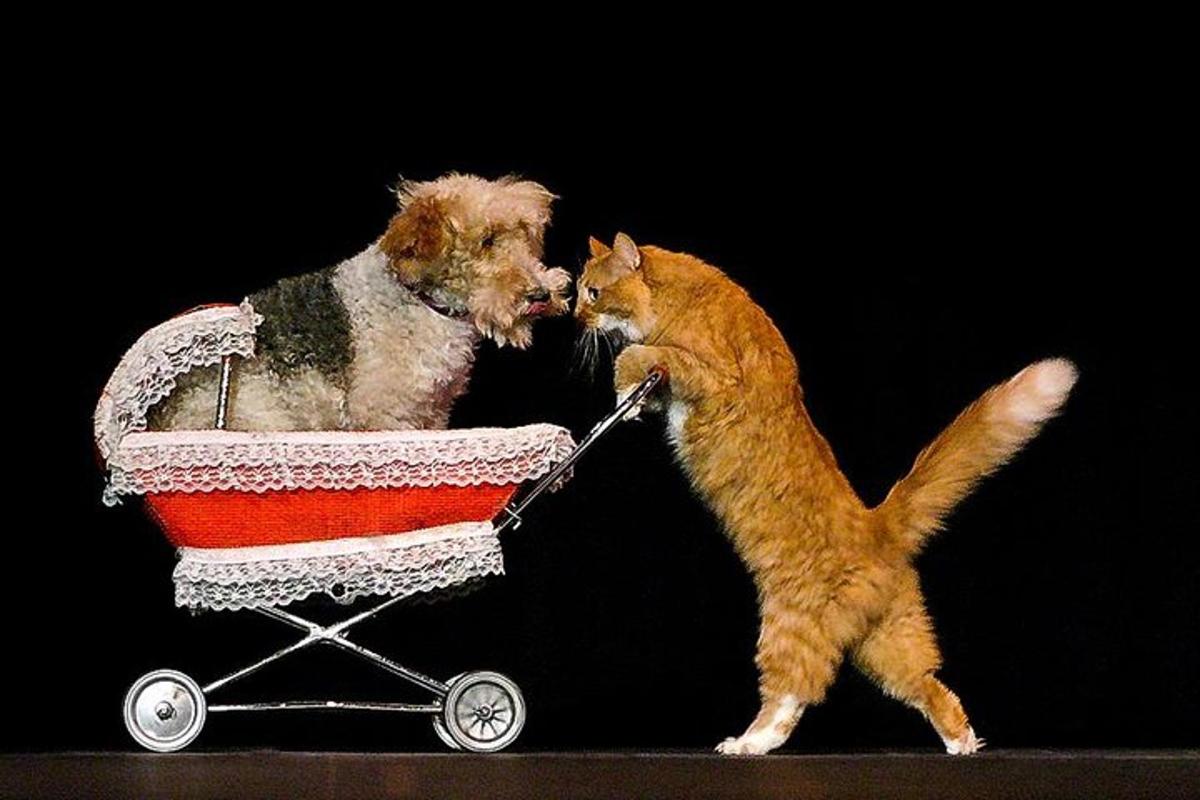 صورة رقم 4 للمعلم السياحي