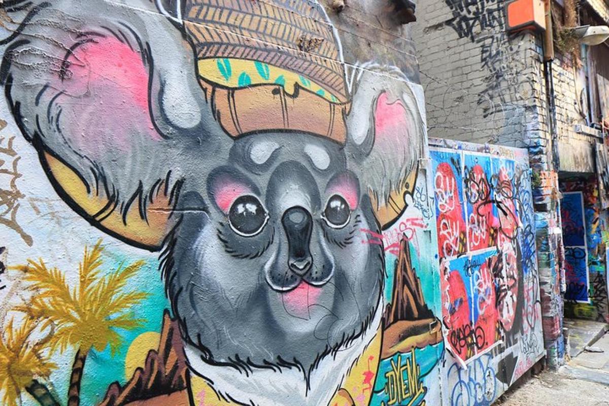 un murale di un koala dipinto sul lato di un edificio