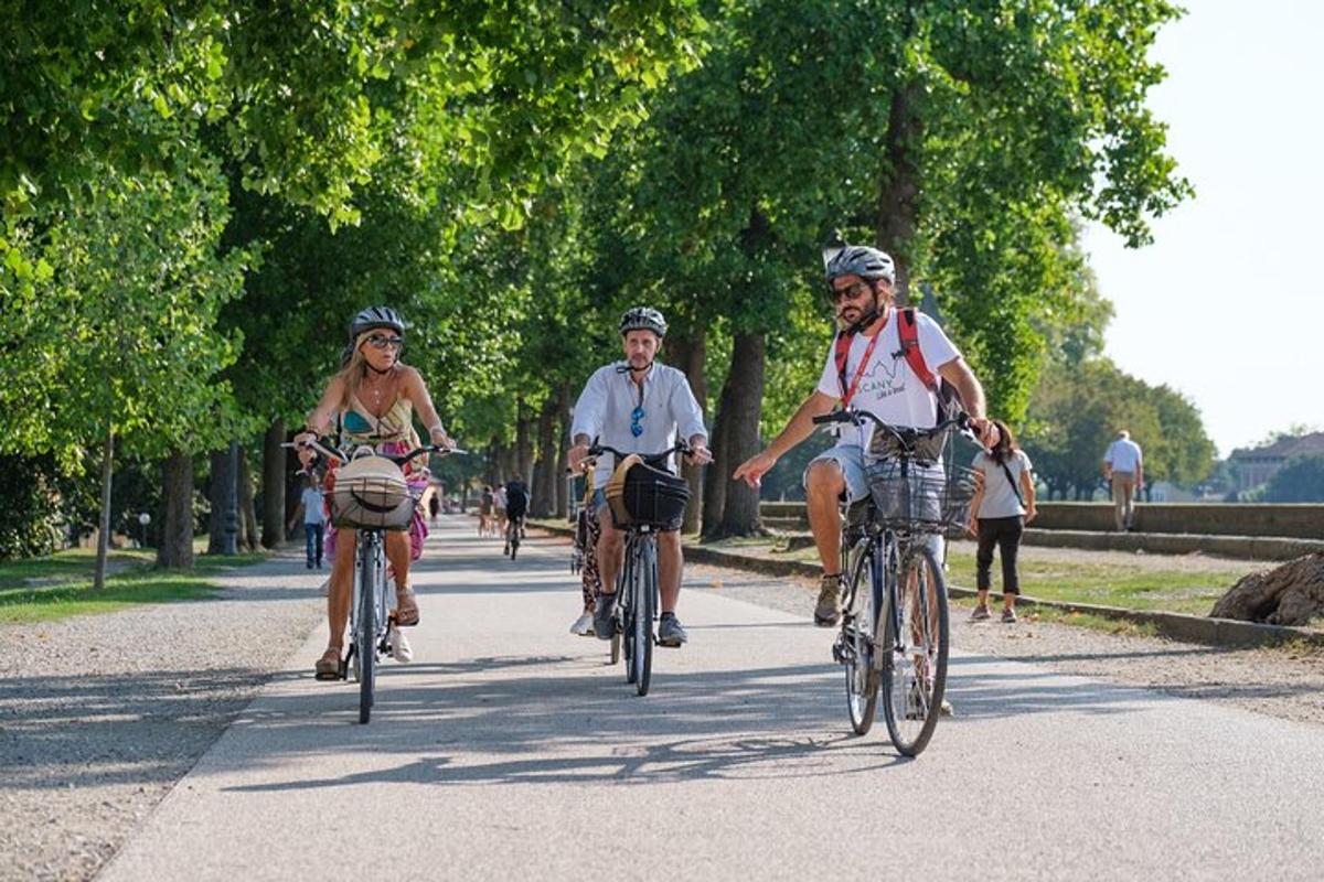 en gruppe mennesker, der cykler ned ad en vej