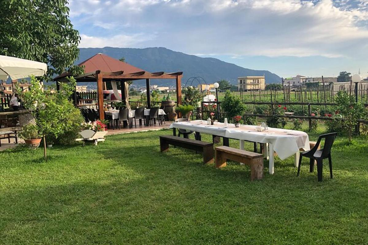 o masă de picnic în iarbă cu un foișor