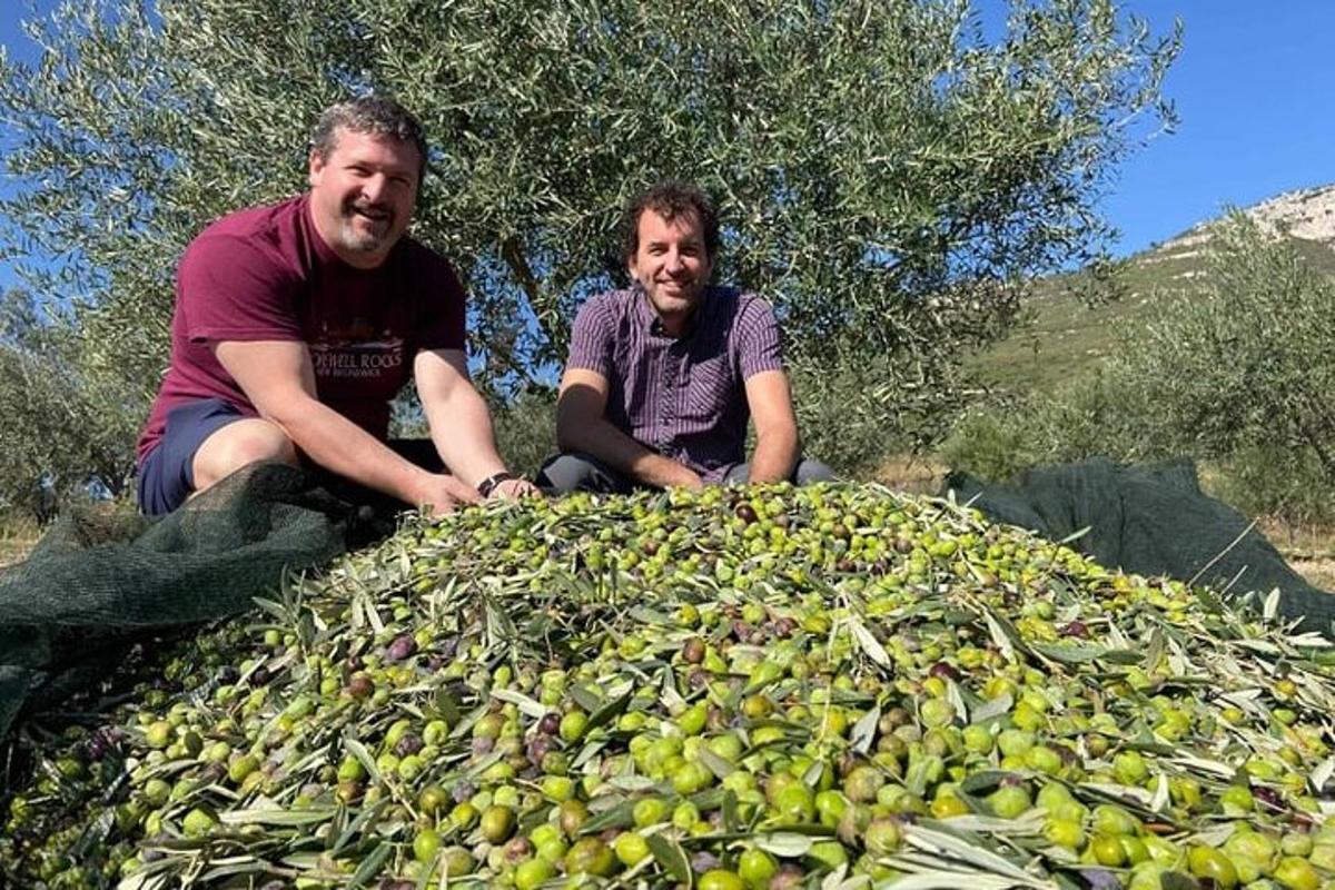 Lankytinos vietos ar pramogos nuotrauka numeris 3