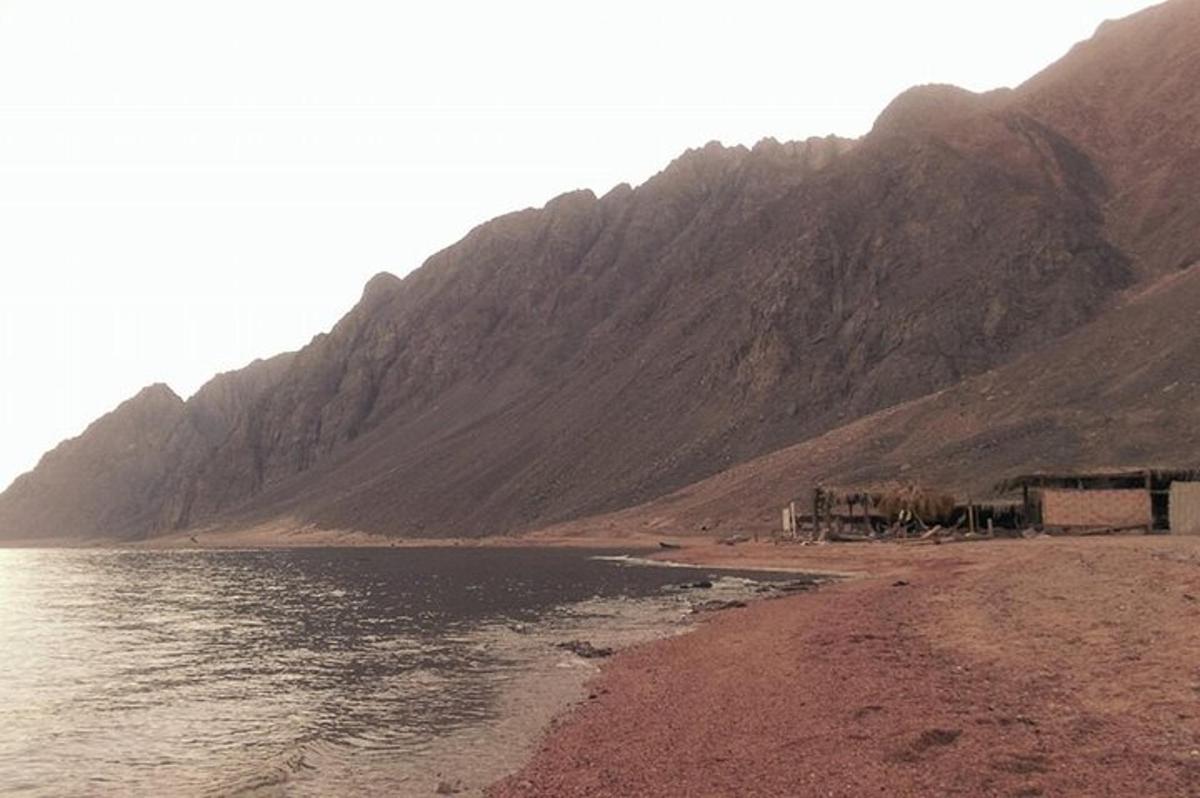 vlak je parkiran na plaži ob vodi