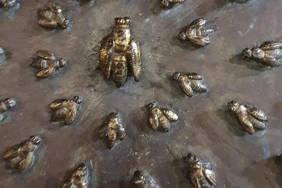 een groep kastanjes op de grond