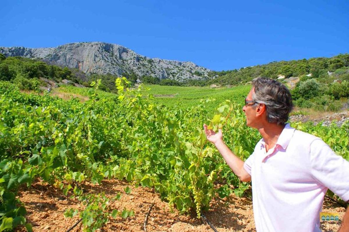 a woman standing in a field of crops