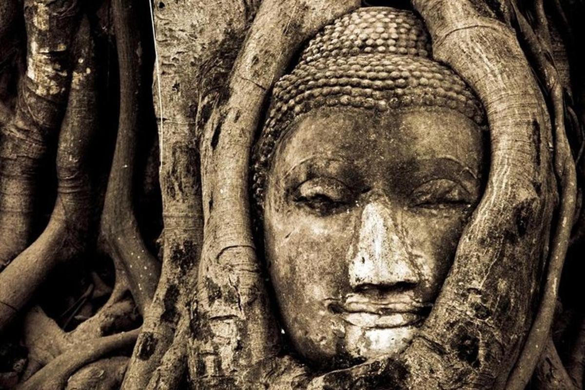 una statua di una testa circondata da alberi