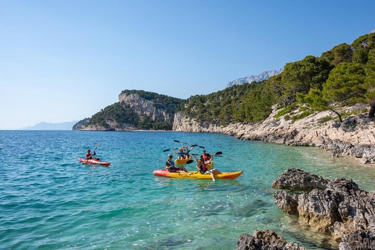 Lankytinos vietos ar pramogos nuotrauka numeris 3