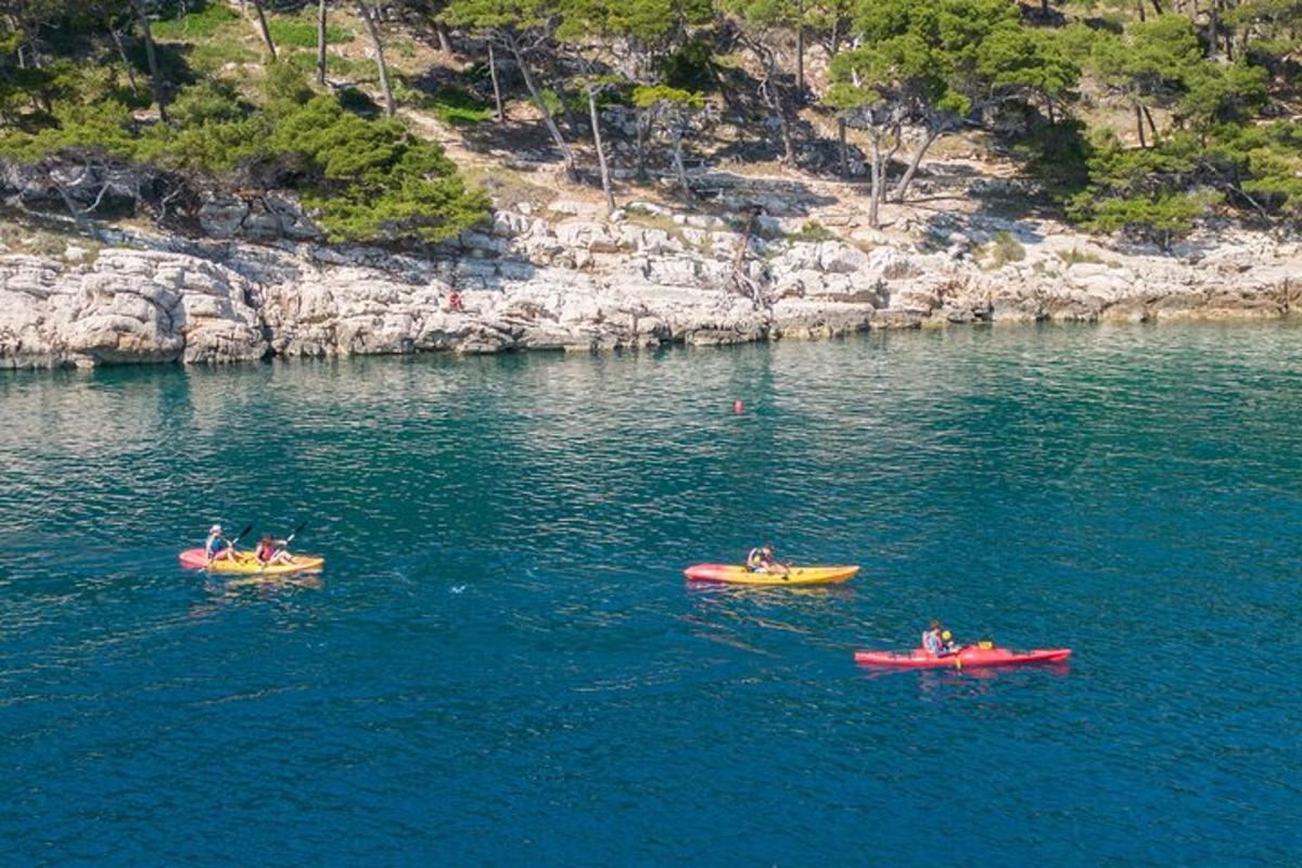 Lankytinos vietos ar pramogos nuotrauka numeris 6