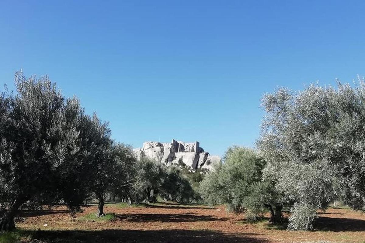 Φωτογραφία αξιοθέατου 4