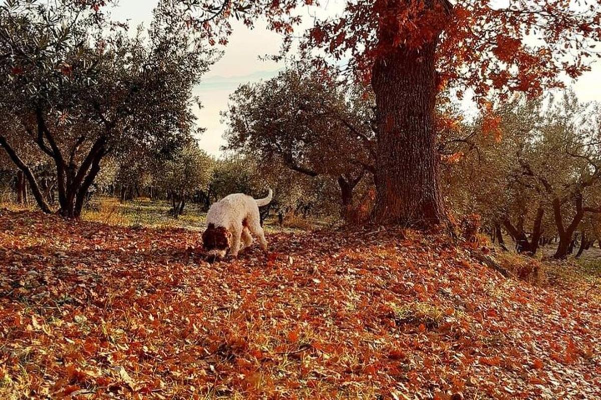 Fotografia atrakcie č. 3