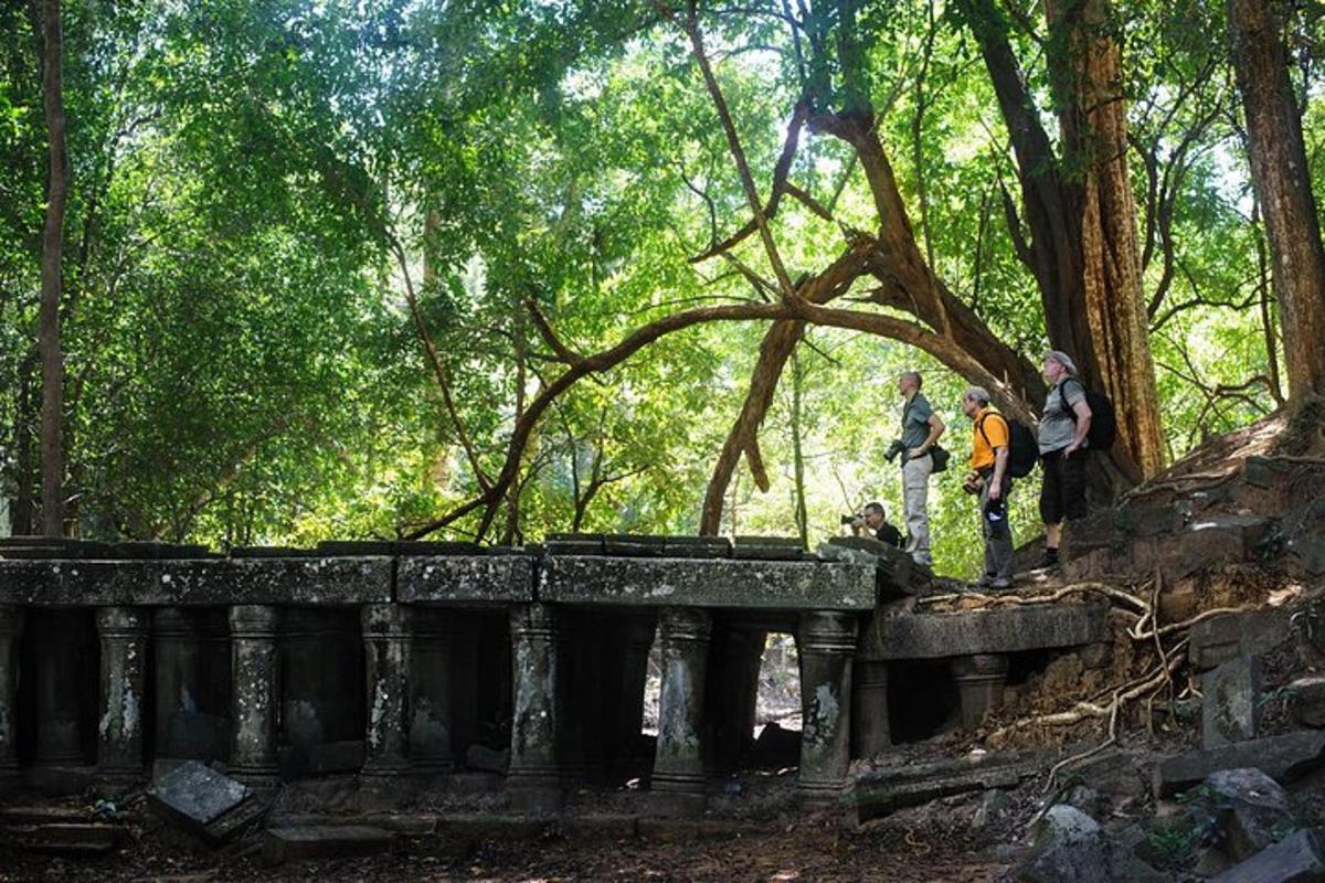 a group of people standing on a bridge in a forest