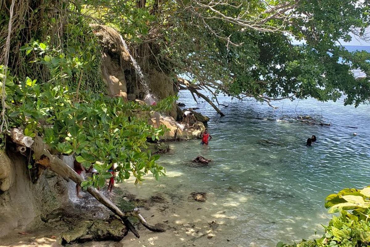 un grup de persones nedant en una massa d'aigua