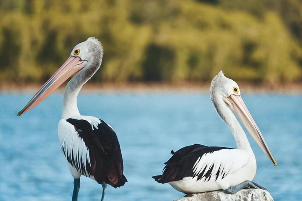 Fotografia da atração 7