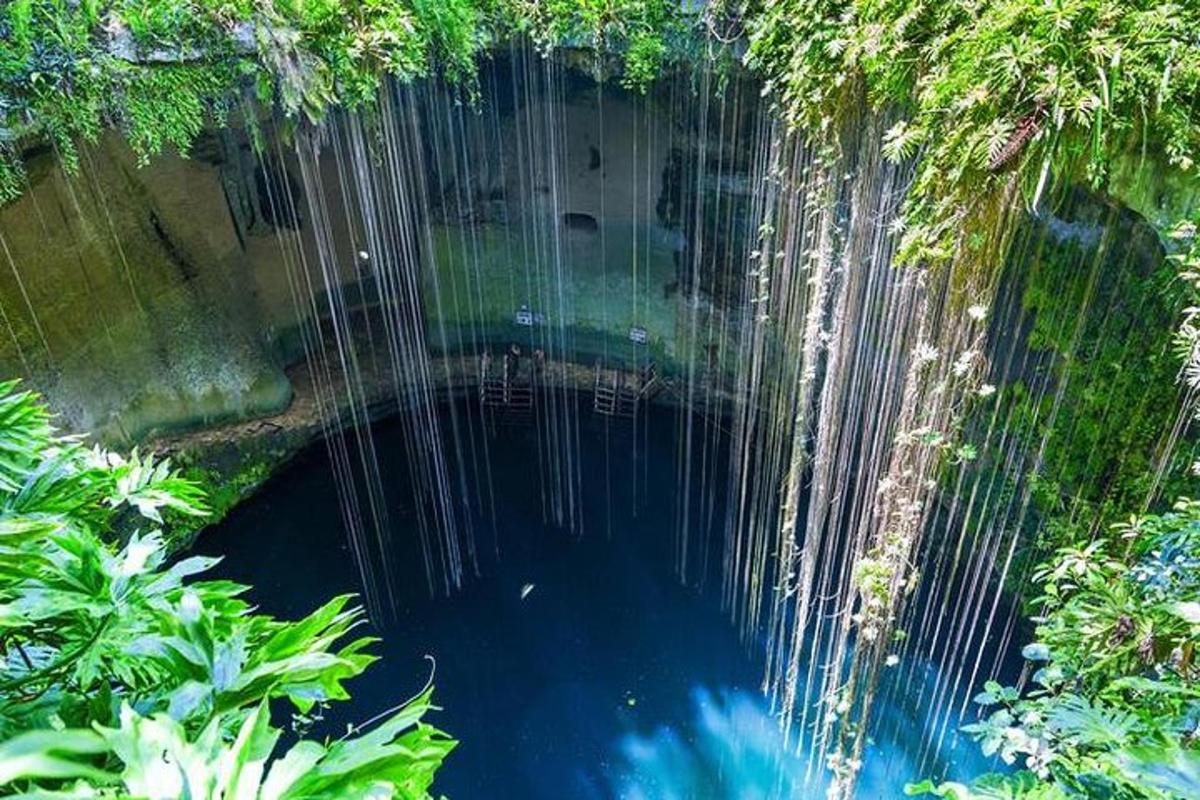 eine Luftaufnahme eines Wasserbeckens mit Bäumen
