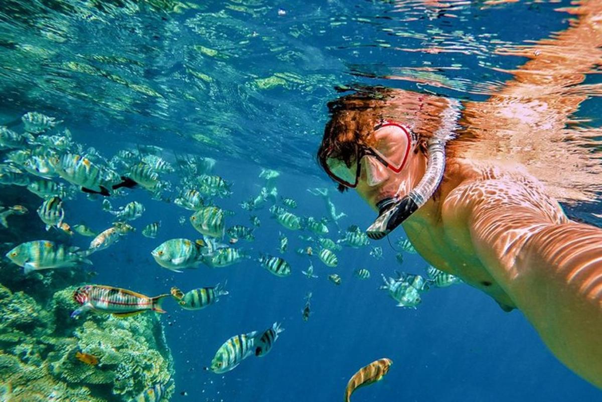 seseorang di dalam air melihat ikan