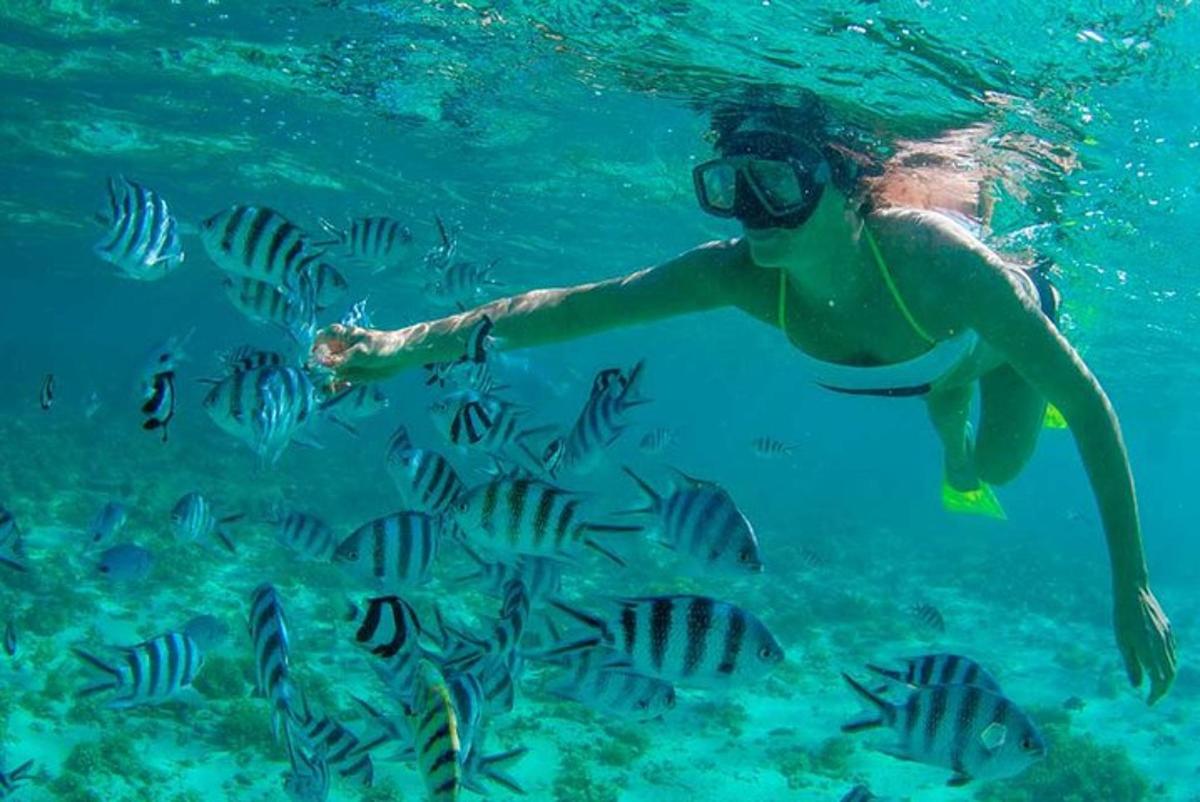 una persona in acqua con un gruppo di pesci