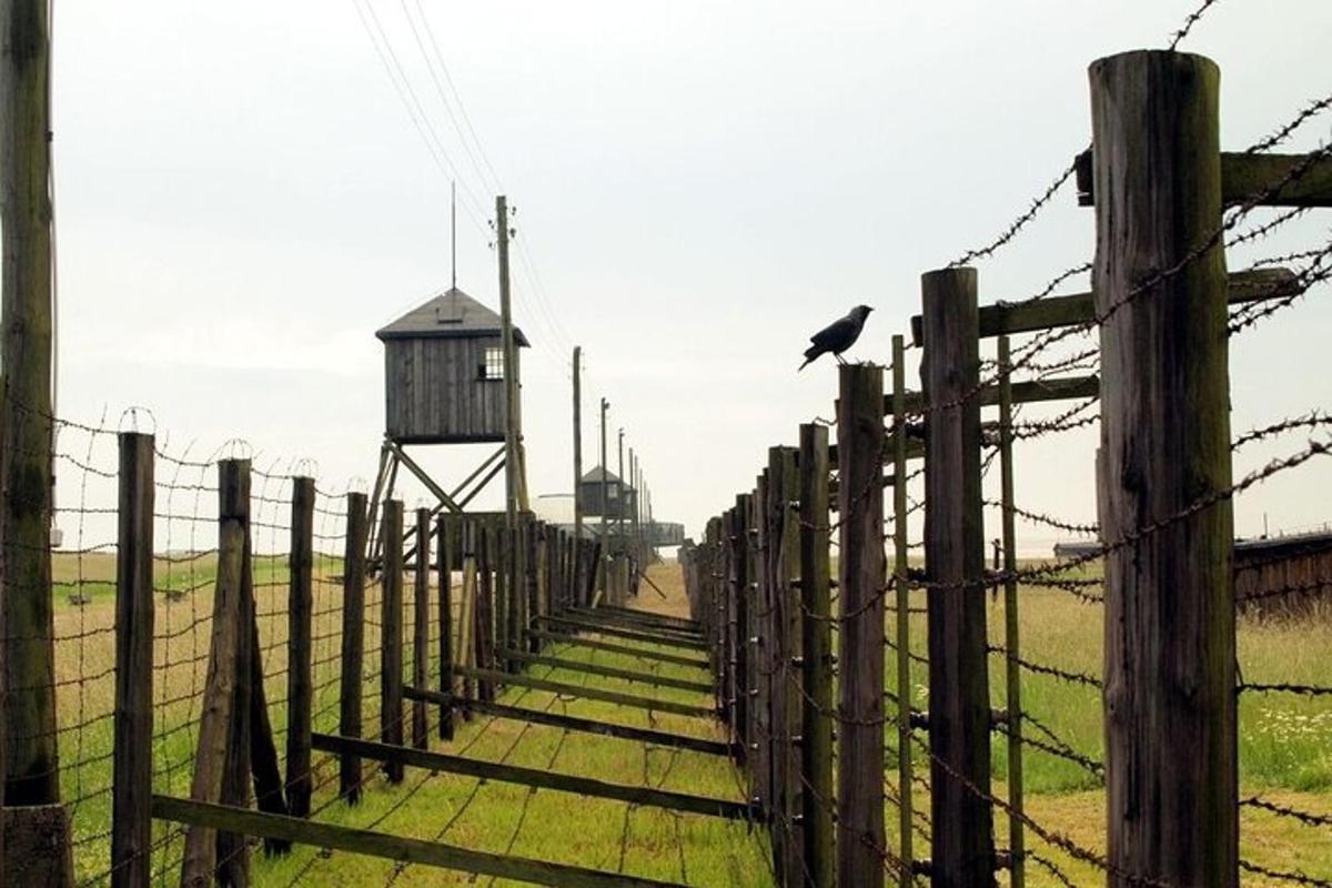 птах сидить на вершині паркану