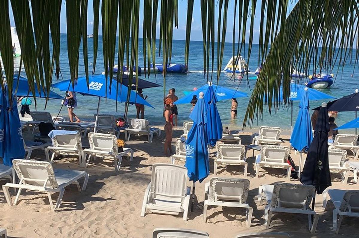 eine Gruppe von Stühlen und Sonnenschirmen an einem Strand