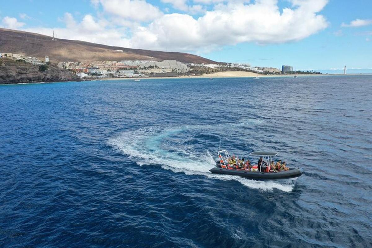 Lankytinos vietos ar pramogos nuotrauka numeris 3