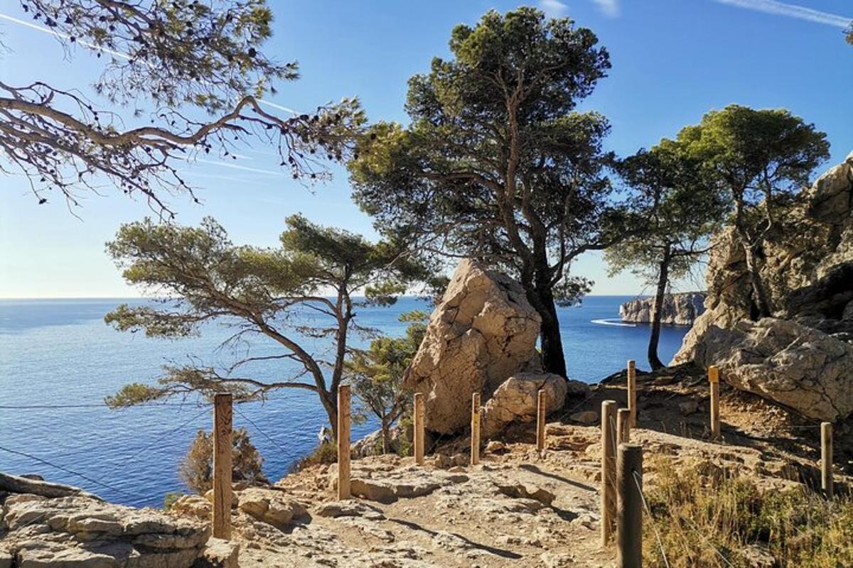 a view of the ocean with trees and rocks