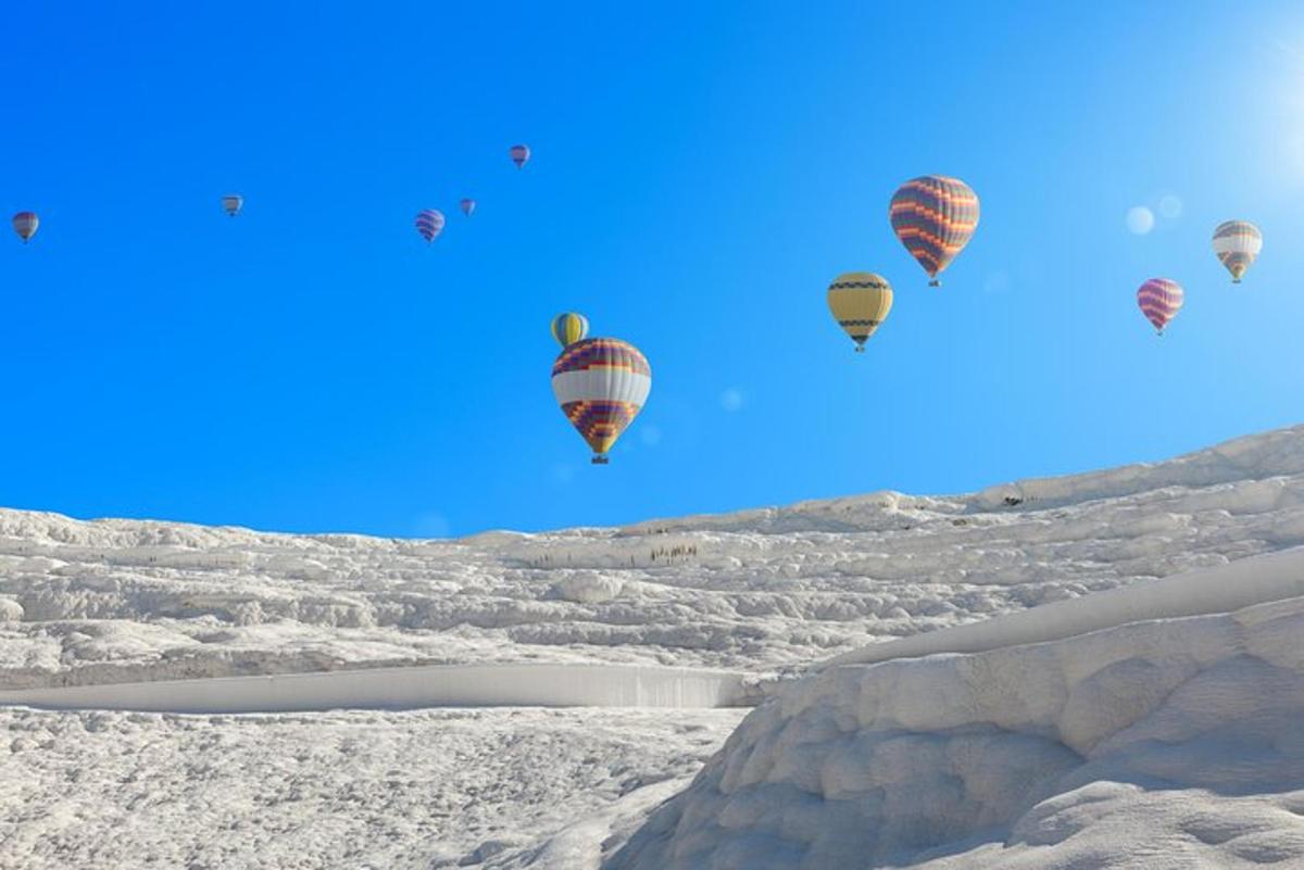 un grup de globus aerostàtics volant pel cel