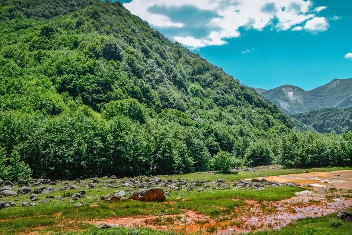 ένα βουνό με μια δέσμη δέντρων σε ένα χωράφι