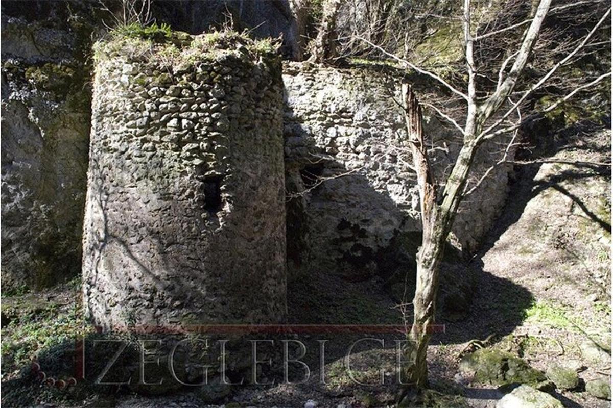 ένας παλιός πέτρινος τοίχος με ένα δέντρο δίπλα του