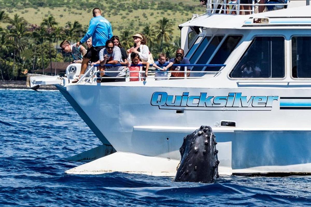 Lankytinos vietos ar pramogos nuotrauka numeris 3