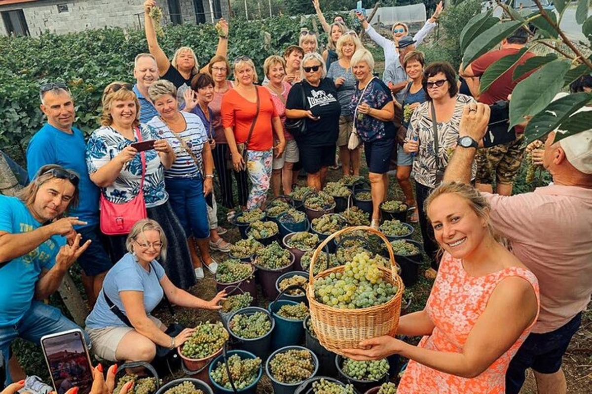 un grup de persones al voltant d'un grup de plantes