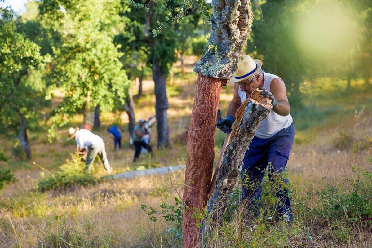 Fotografia atrakcie č. 3