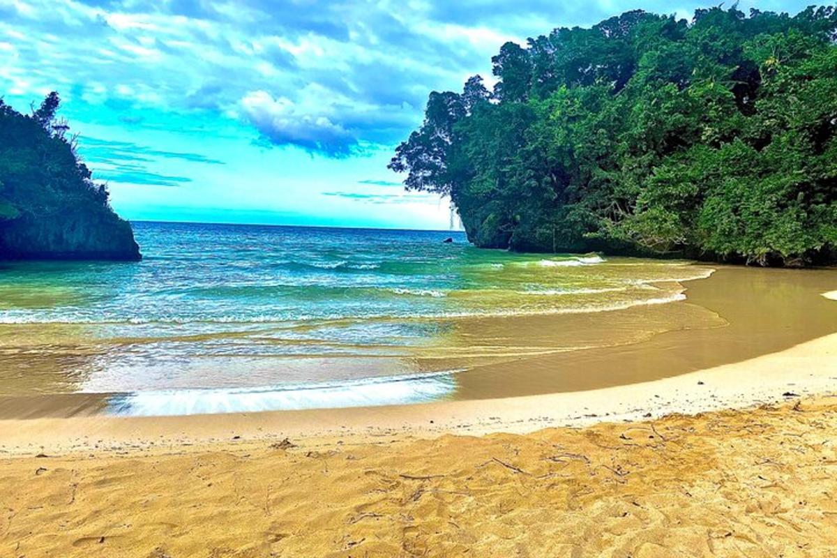 pantai berpasir dengan laut dan pepohonan