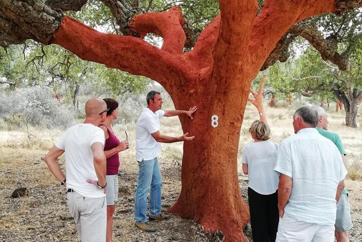 תמונה מספר 3 של האטרקציה