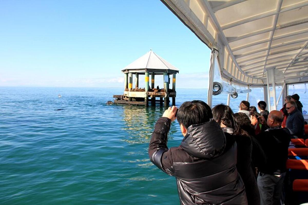 Fotografia da atração 4