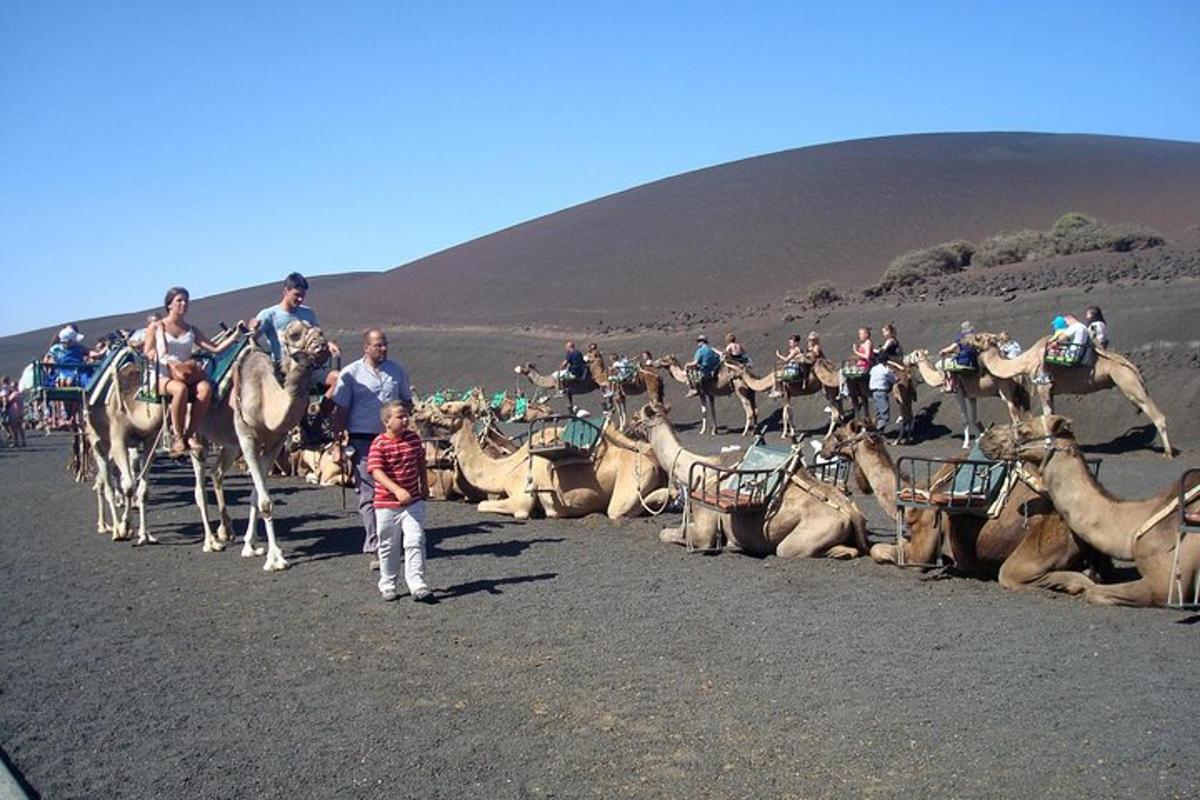 Ljósmynd af afþreyingu 7