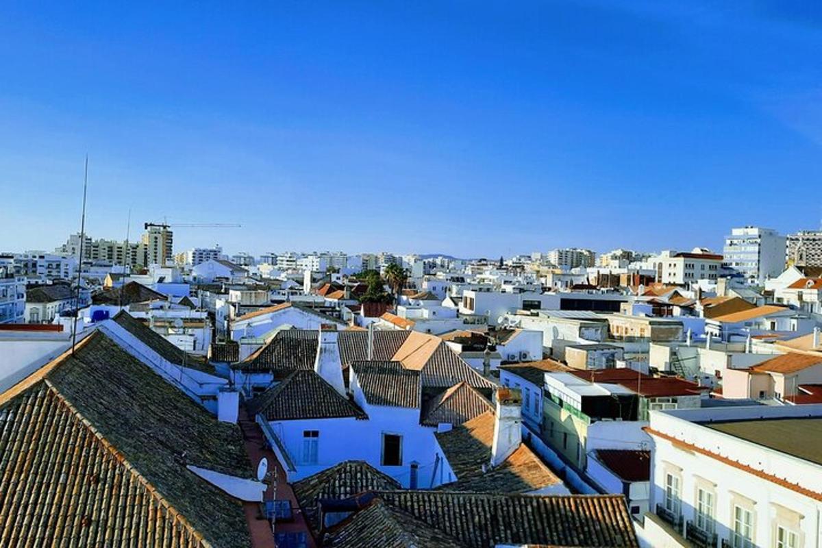 una vista di una città con tetti ed edifici