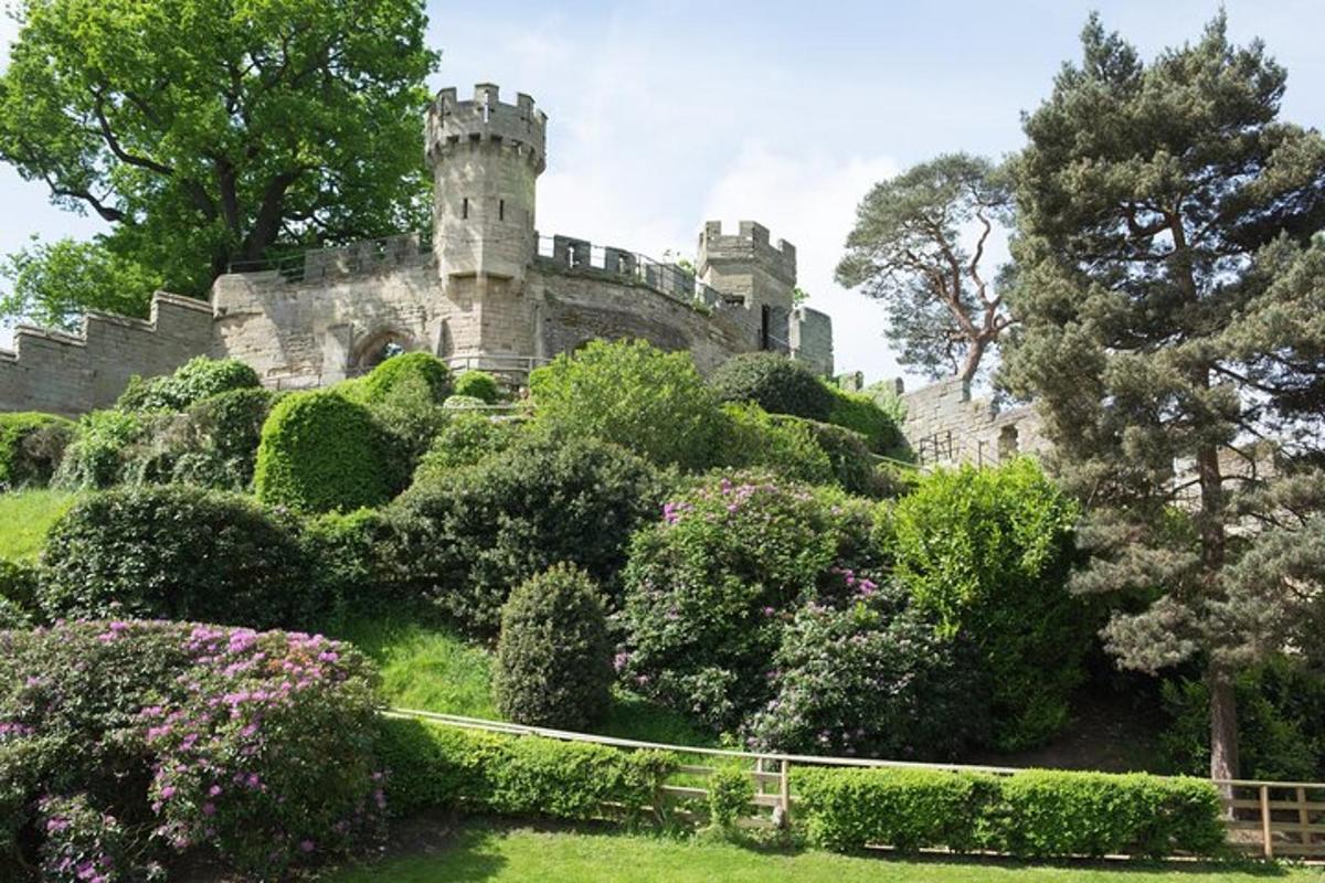 un castel vechi așezat deasupra unor tufișuri