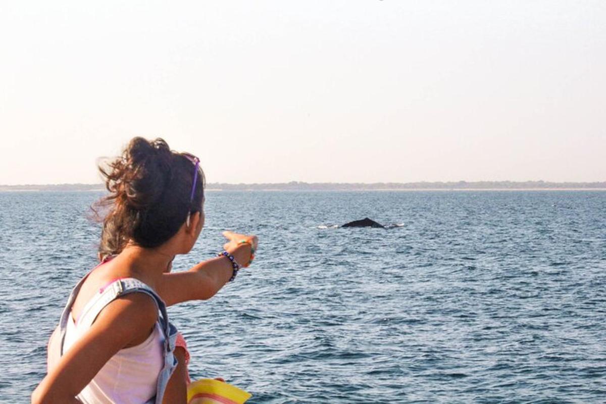 a woman pointing at a whale in the water