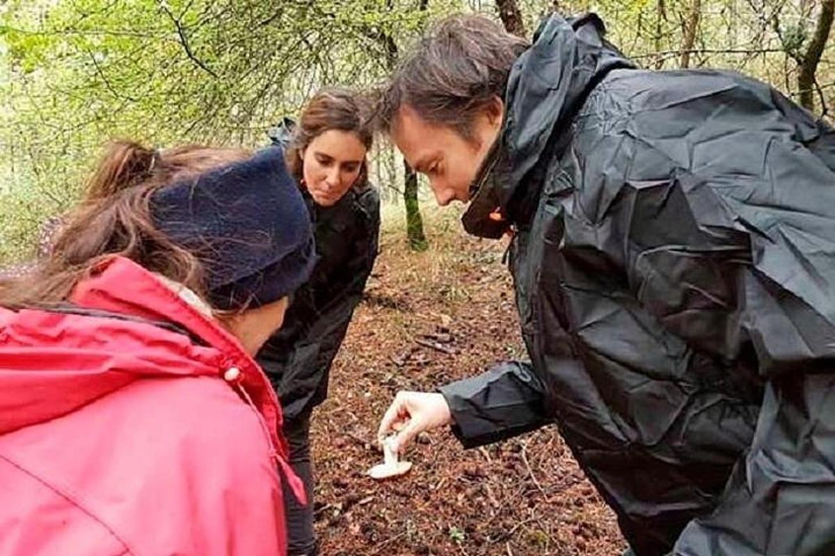 Lankytinos vietos ar pramogos nuotrauka numeris 7