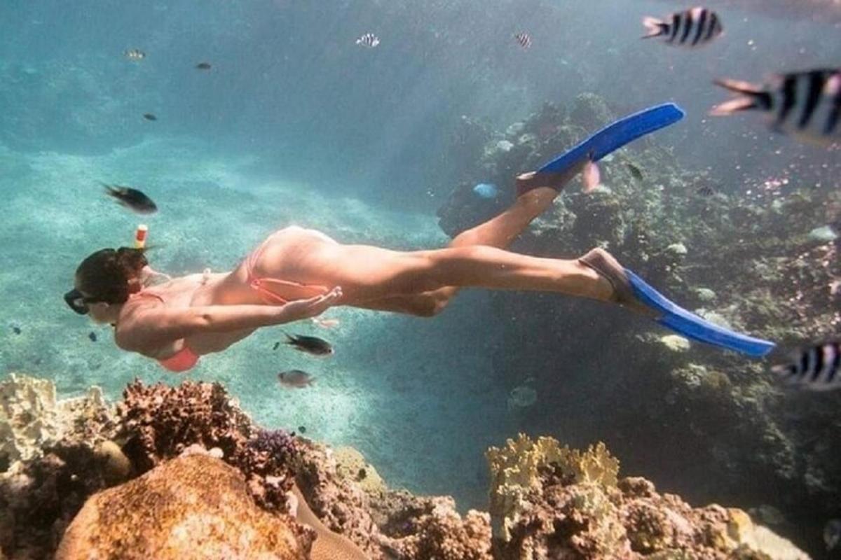 žena plave ve vodě s frisbee