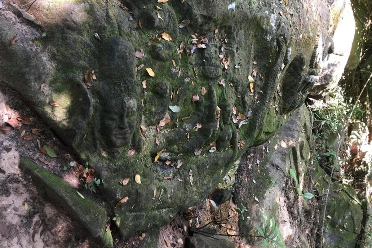 a carving of a lion on the side of a tree