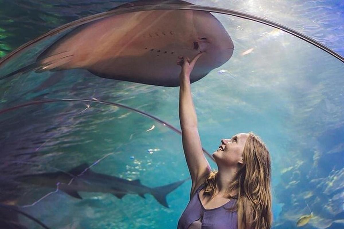 a woman in the water reaching up tocatch a fish