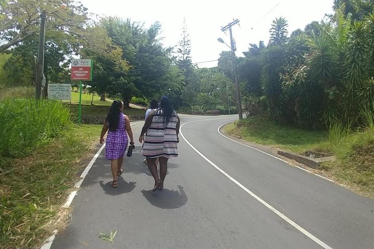 Fotografia da atração 3