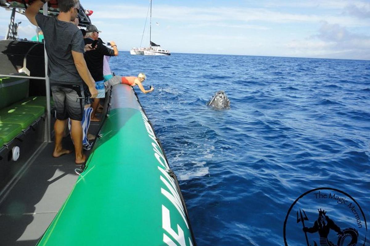 en gruppe mennesker på en båd, der kigger på en delfin i vandet