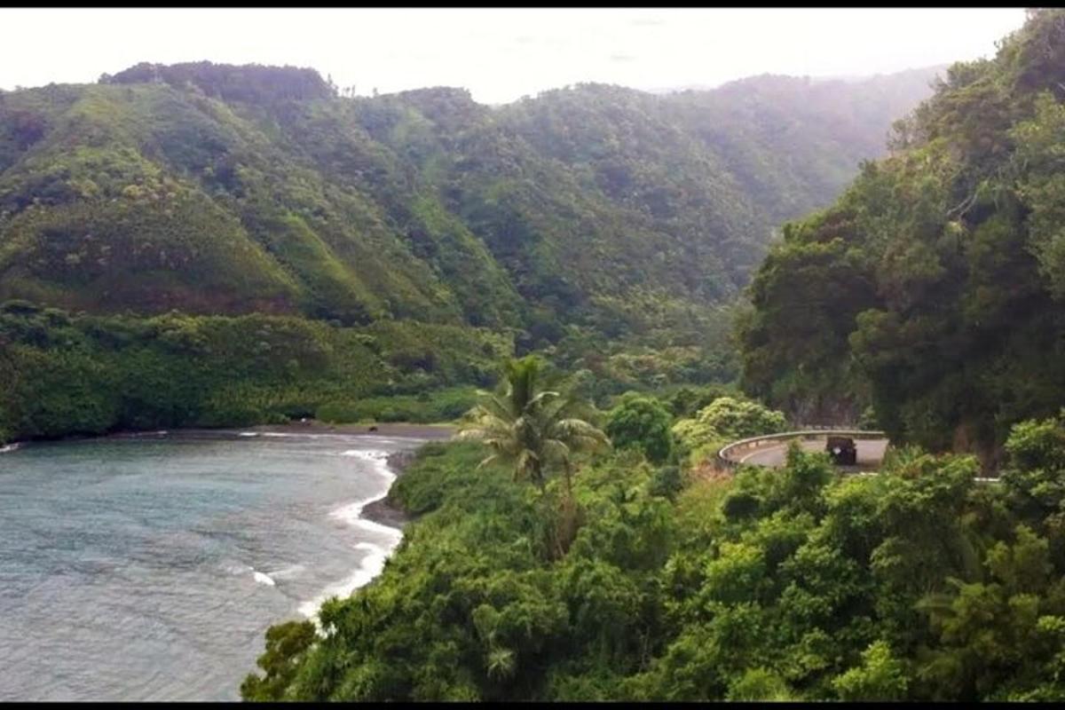 pemandangan sungai dengan pokok dan gunung