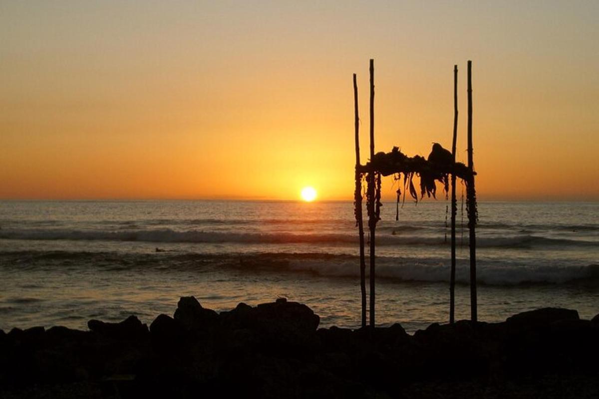una posta de sol a la platja amb l'oceà i les algues