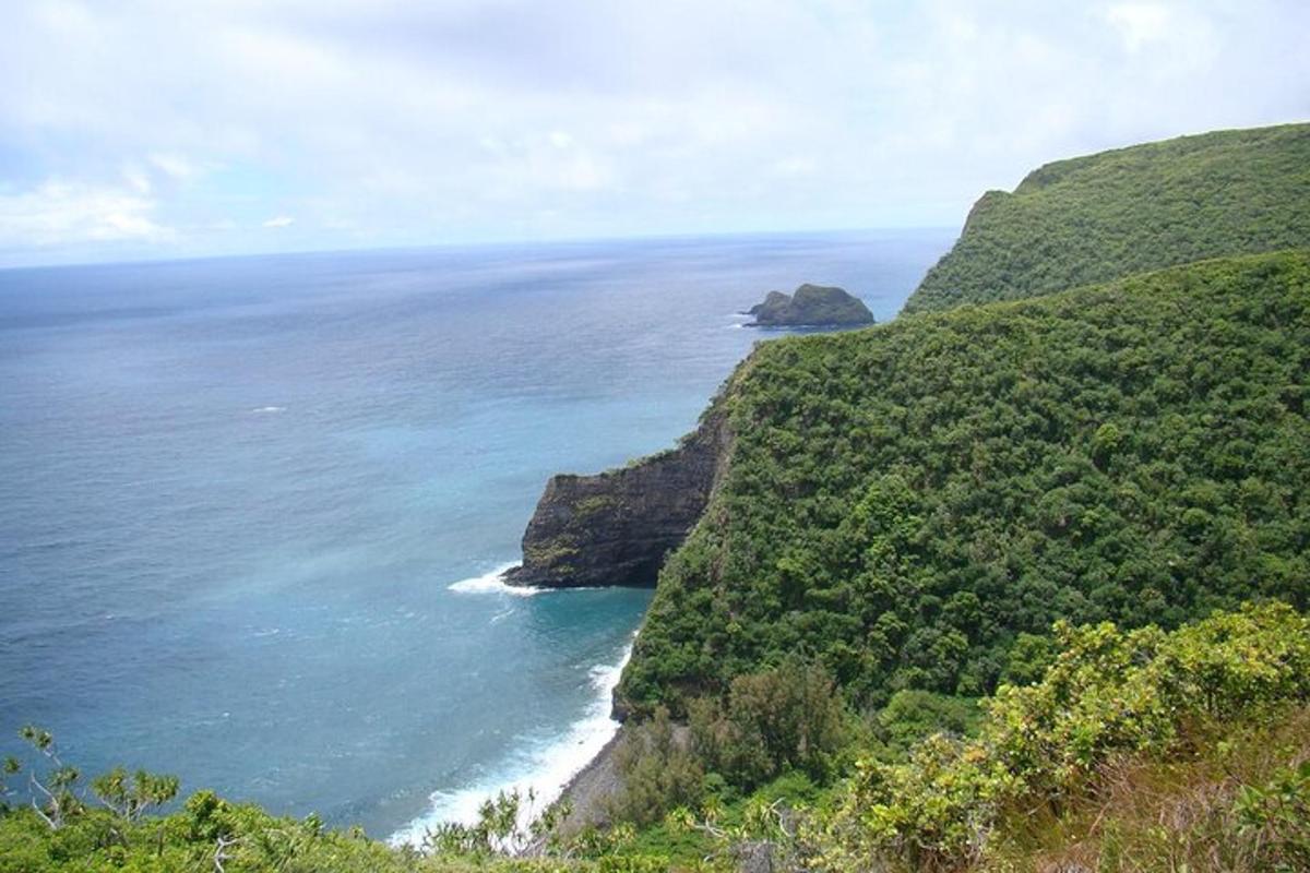 una vista de l'oceà des d'un turó