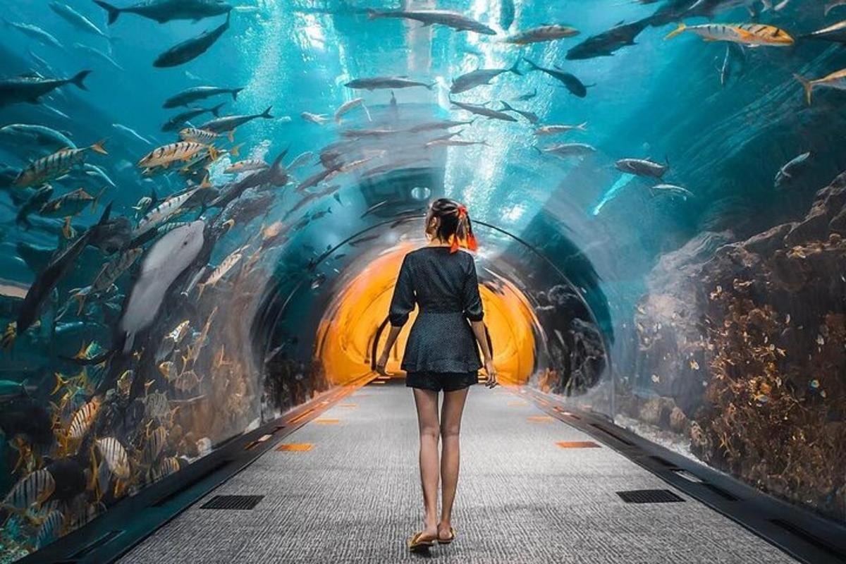 a woman walking through a tunnel in an aquarium