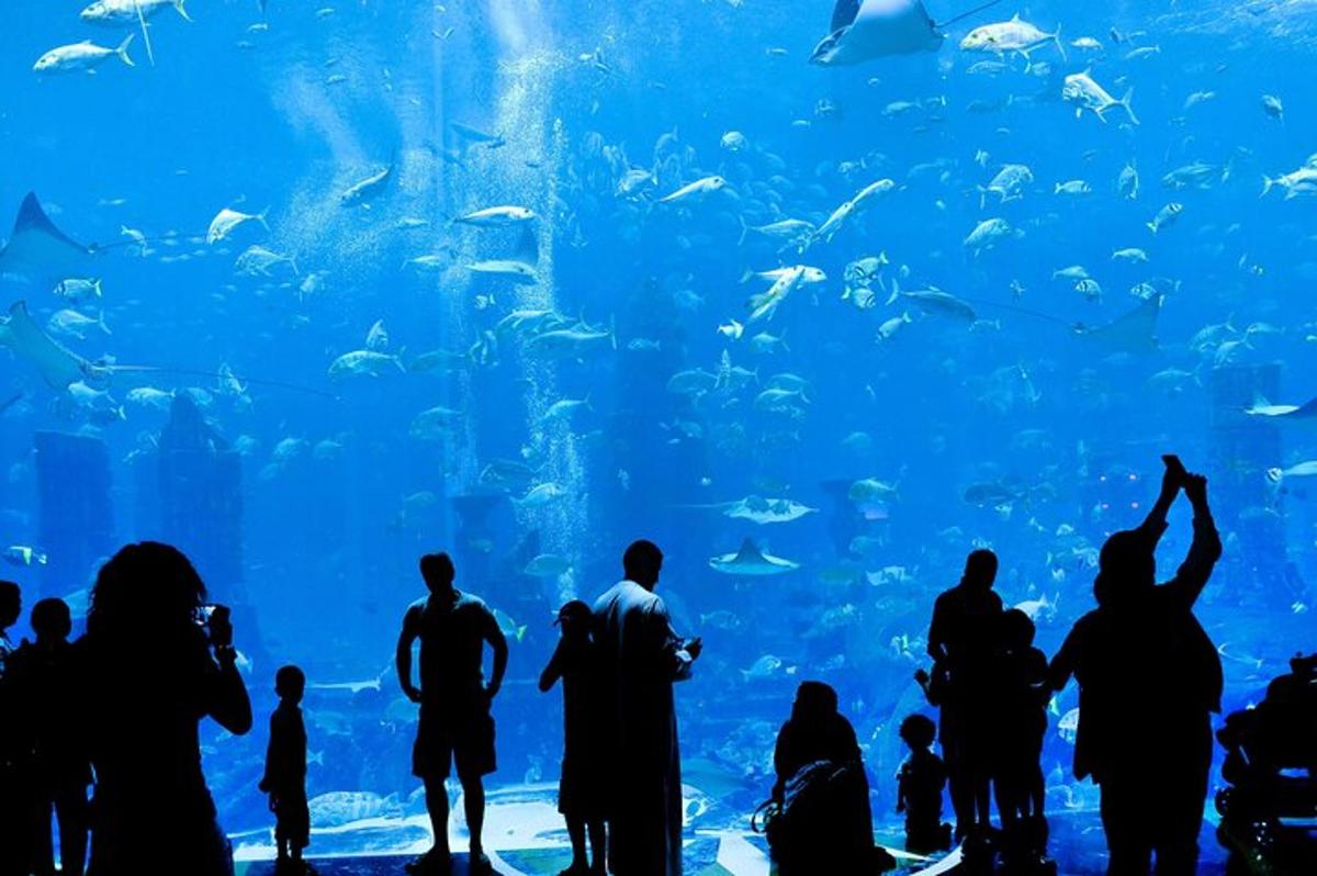 Attraction picture 5