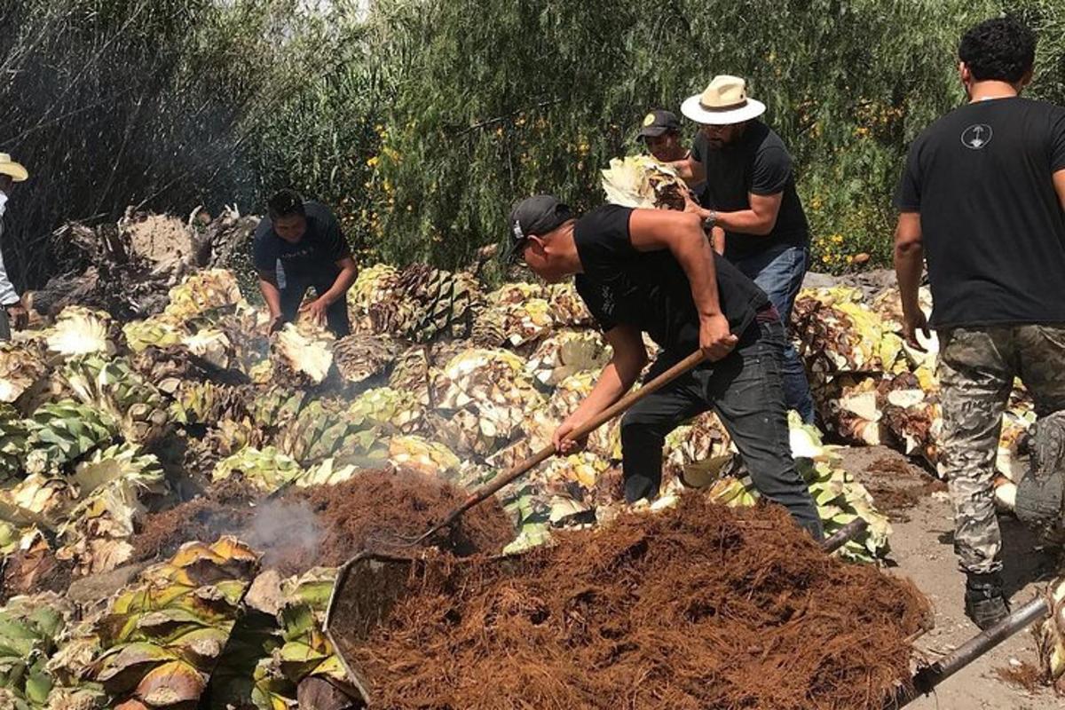 a group of people working in a garden