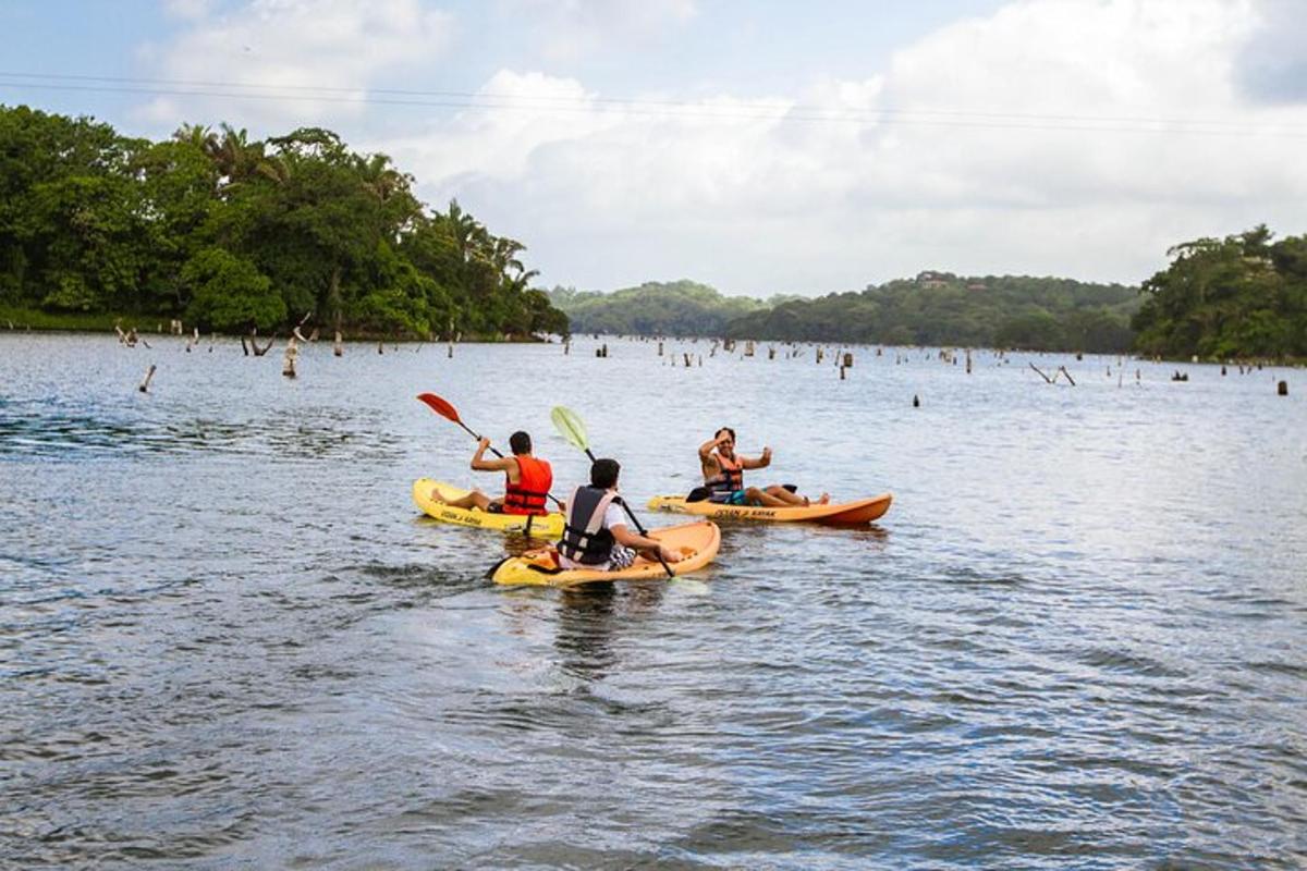 un grupo de personas en kayaks en un lago
